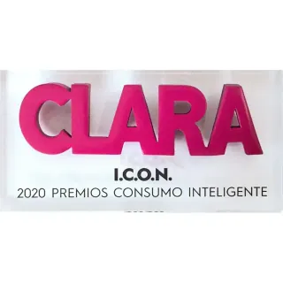 I.C.O.N. award trophy