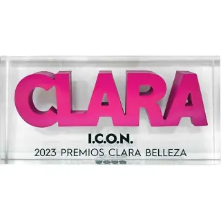 I.C.O.N. award trophy