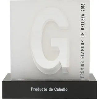 I.C.O.N. award trophy