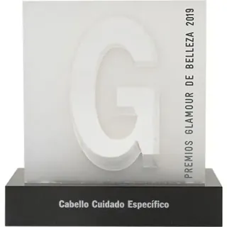 I.C.O.N. award trophy