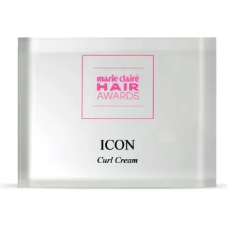 I.C.O.N. award trophy
