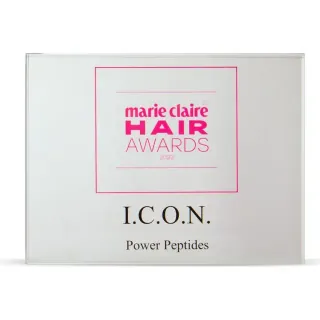 I.C.O.N. award trophy