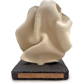 I.C.O.N. award trophy
